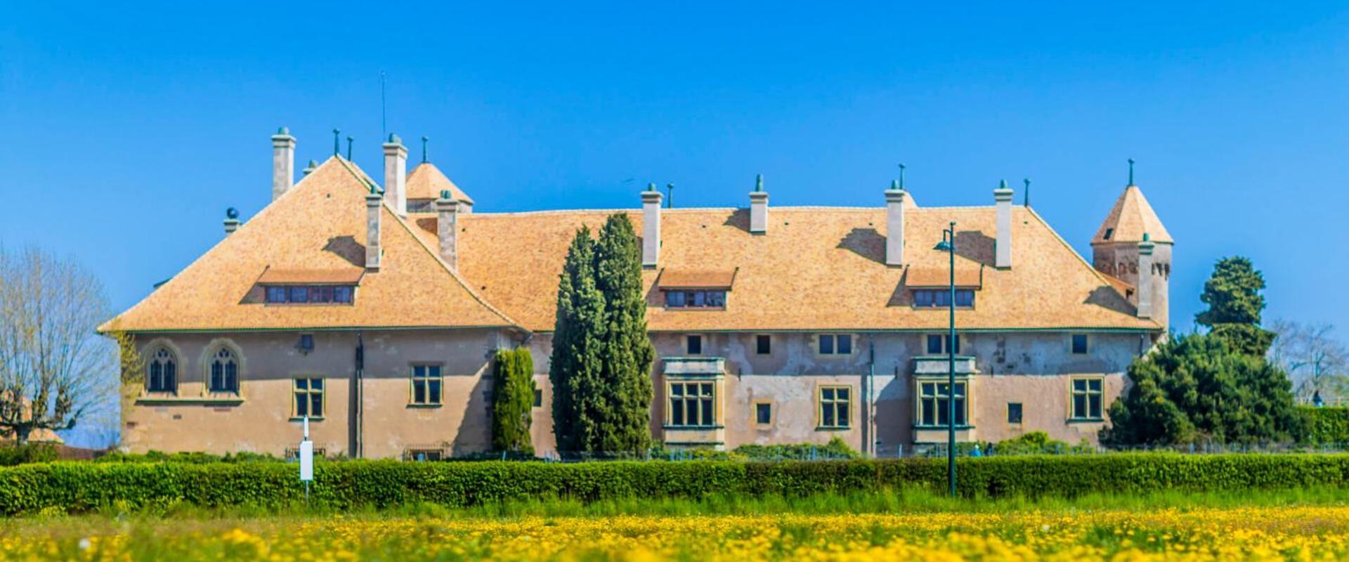 Logis Hotel Arc En Ciel Thonon-les-Bains Eksteriør bilde